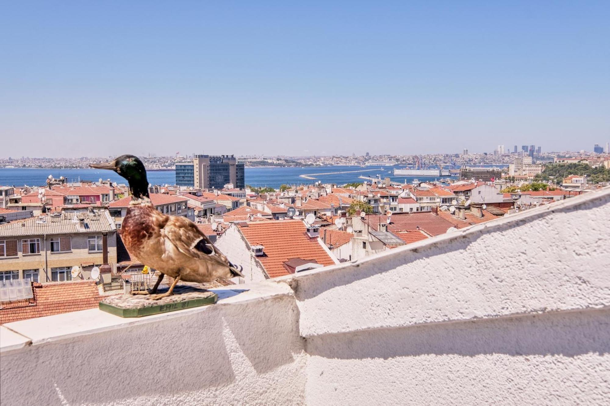 Duck Otel Стамбул Экстерьер фото